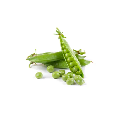 Pea
